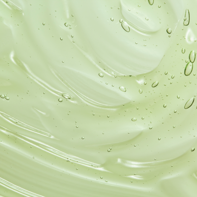 Aloe1