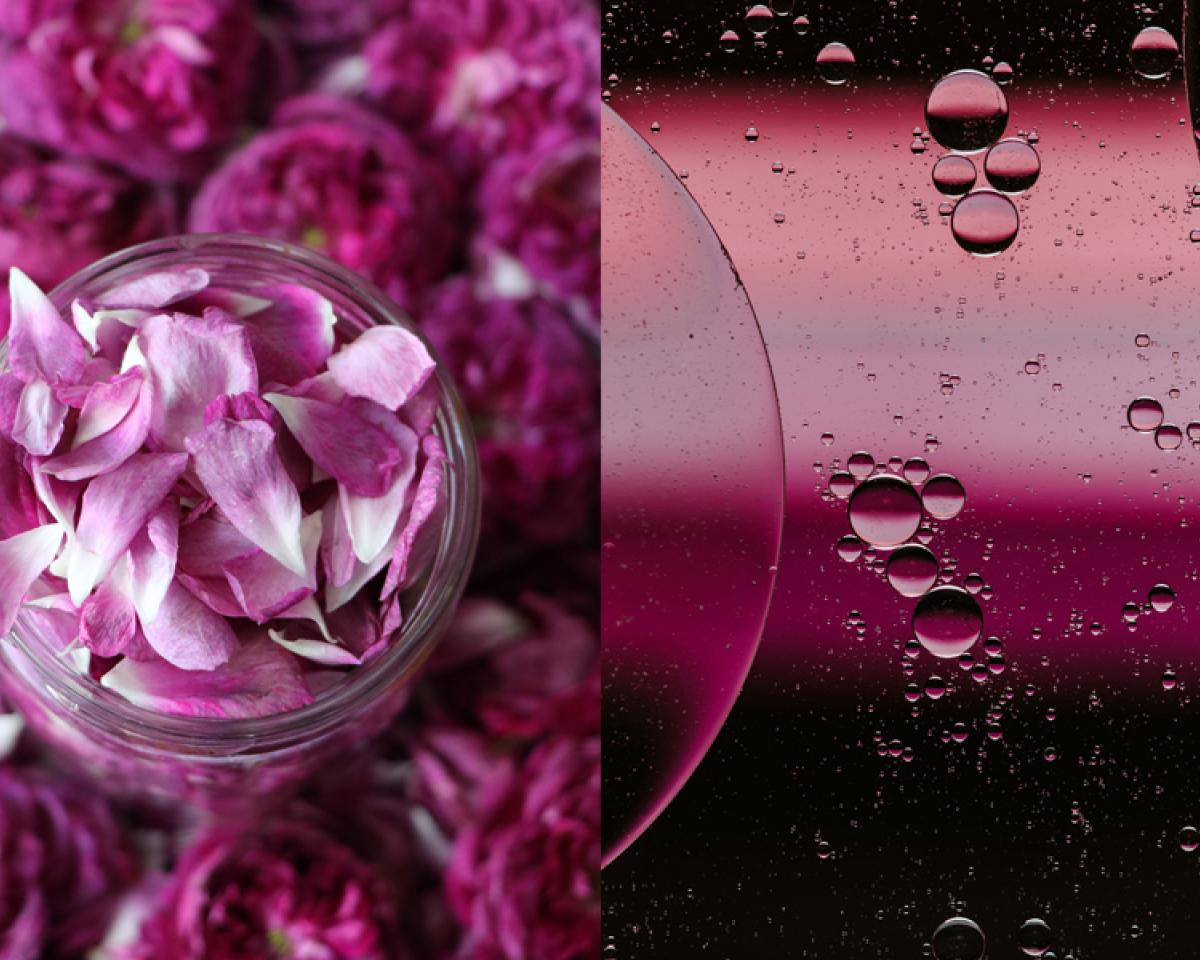 Prečo je príprava ružového oleja vždy srdcová záležitosť?