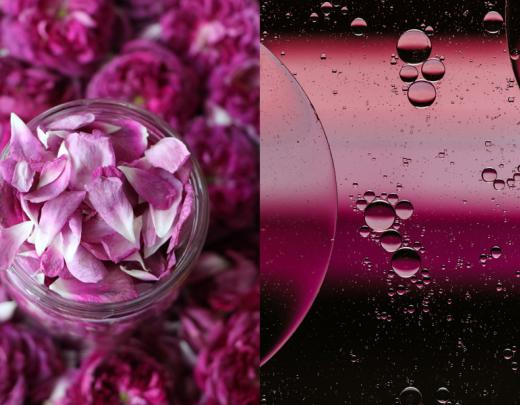 Prečo je príprava ružového oleja vždy srdcová záležitosť?